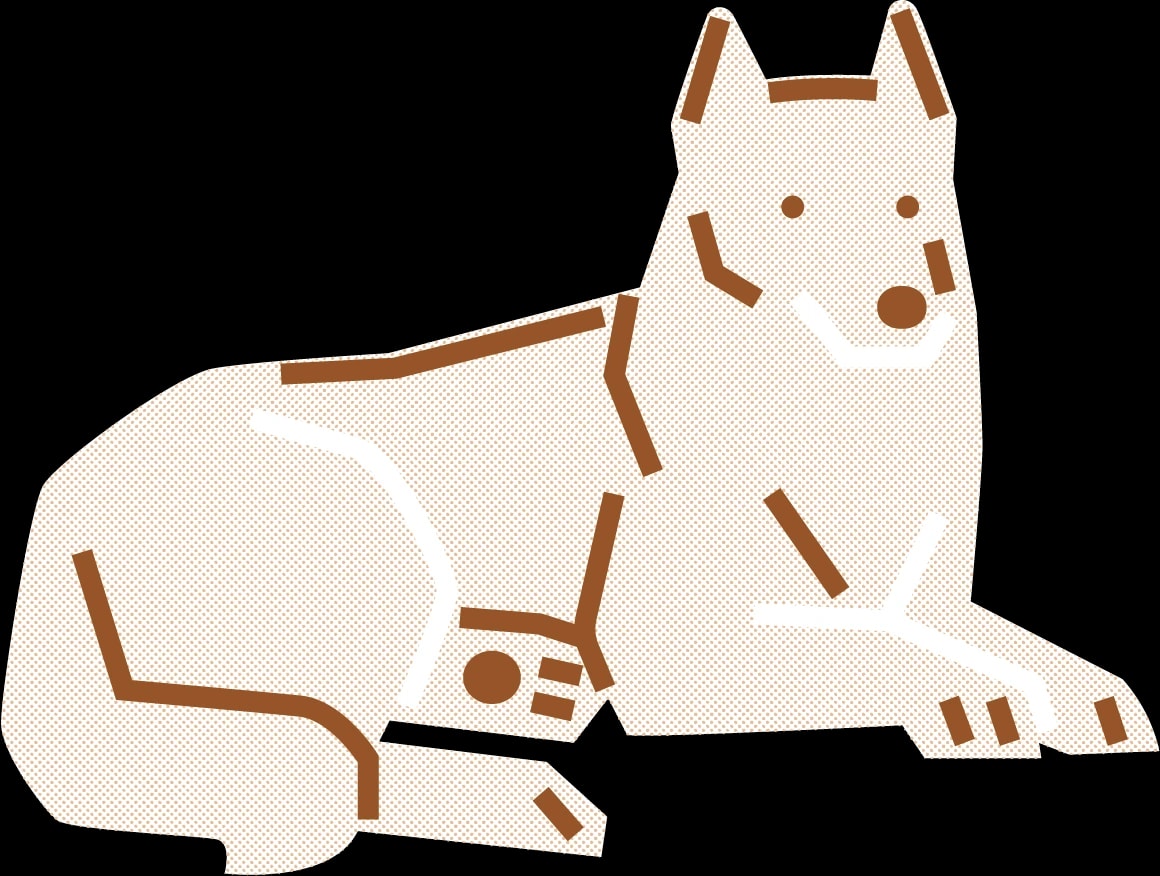 Illustration of Mochi, a Shiba Inu